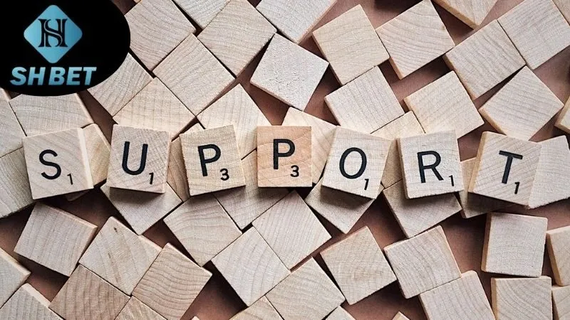Quy trình tiếp nhận và giải quyết thắc mắc khi liên hệ SHBet hỗ trợ