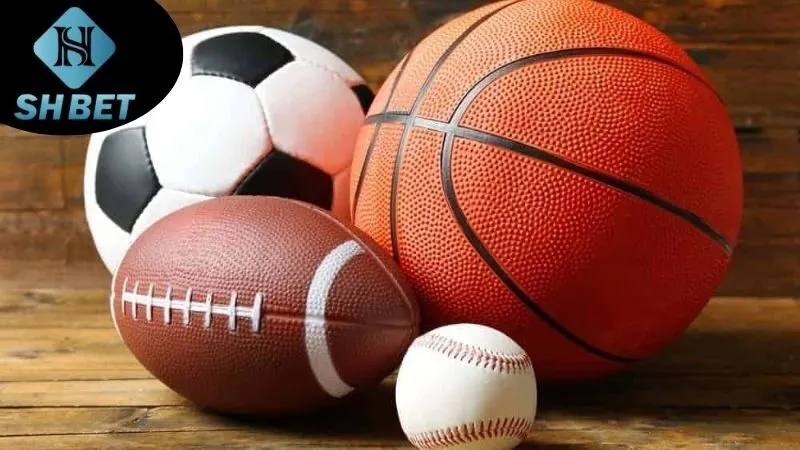 Các bộ môn được cung cấp để cá cược ở trên SHBet thể thao