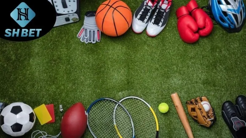 Quy trình đặt cược và các hình thức cược ở trên SHBet thể thao