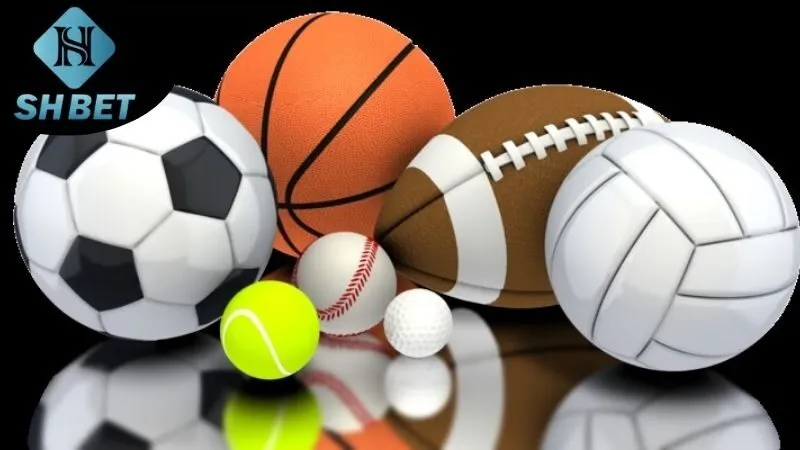 SHBet thể thao