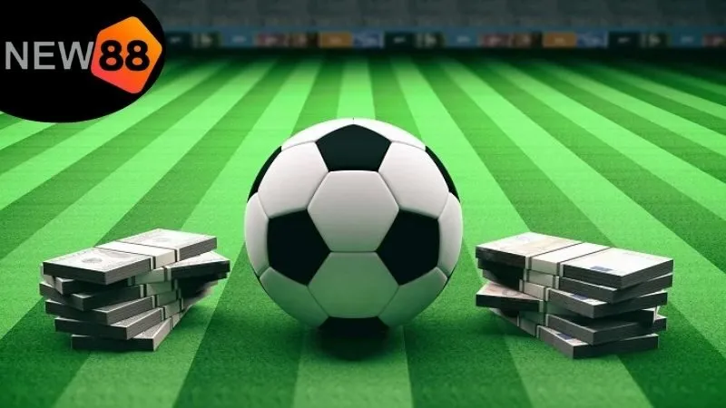 Hướng dẫn cách soi kèo New88