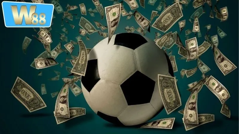 Các môn thể thao phổ biến được cung cấp dịch vụ cá cược online