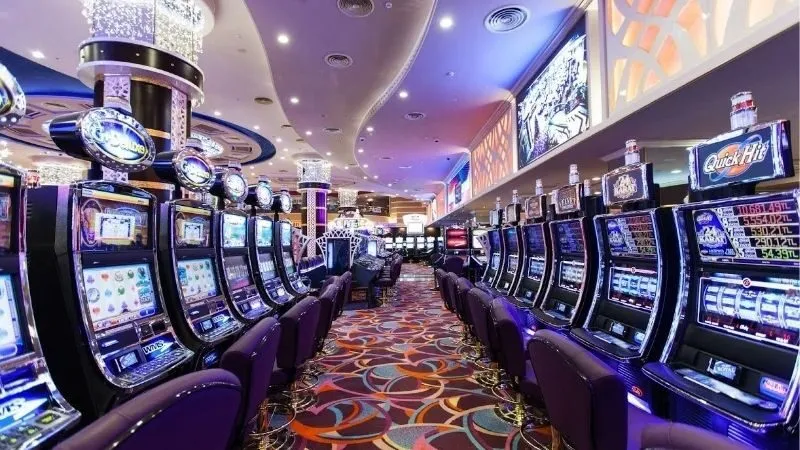 Giới thiệu về nhà cái nhà con