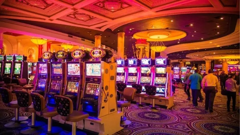 Đánh giá tổng quan về nhà cái số 2 Tiểu Vương Hùng Hồ Chí Minh