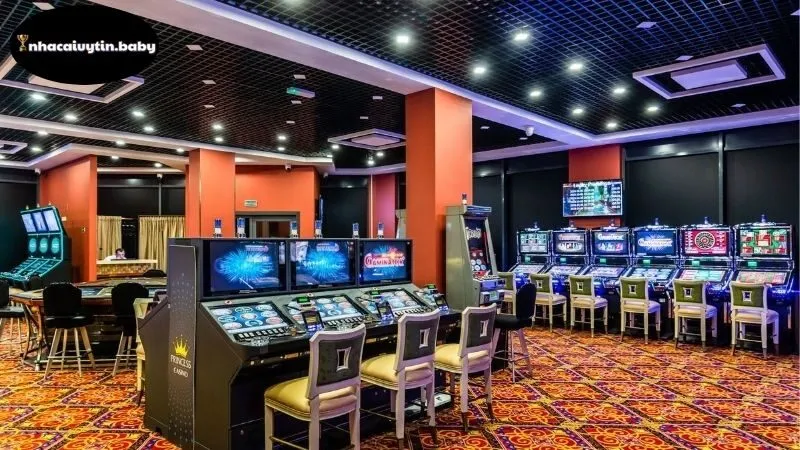 Cơ Bản Về Nhà Cái Và Các Chính Sách Tặng Tiền