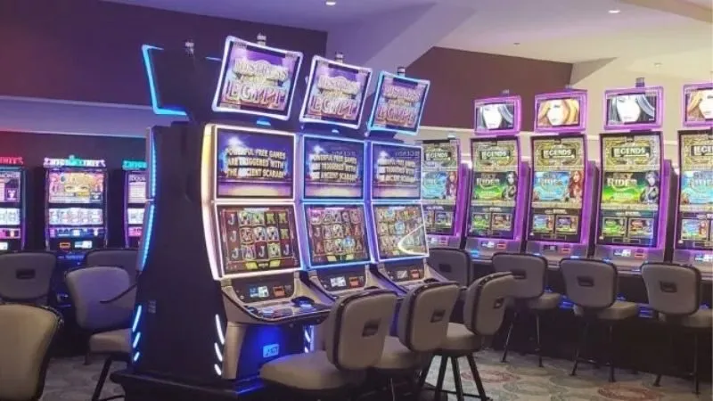 Tổng quan về nhà cái giáo hoàng người thái đồng nai