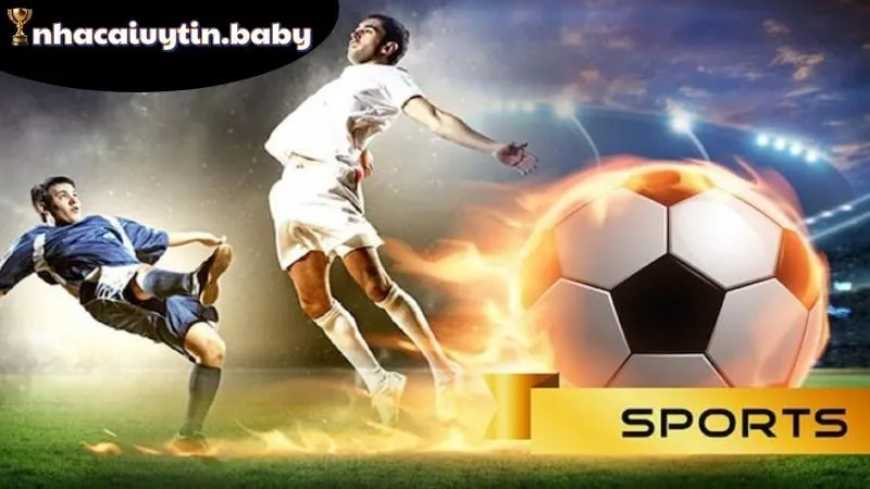 Ưu đãi & phần thưởng hấp dẫn