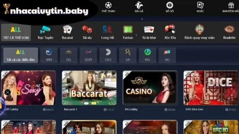 Ưu đãi và dịch vụ chuyên nghiệp