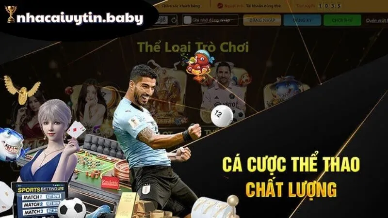 TYDO88 | Nhà Cái Tỷ Lệ Cao - Chơi Dễ Thắng - Rút Siêu Nhanh 2 Tổng quan TYDO88