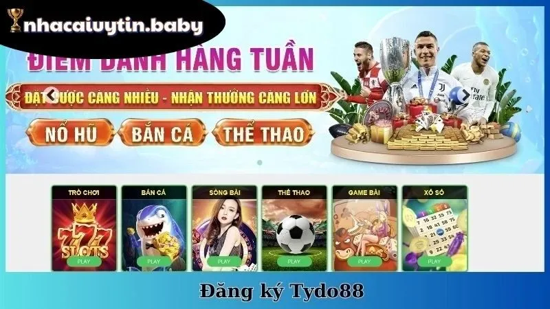 TYDO88 | Nhà Cái Tỷ Lệ Cao - Chơi Dễ Thắng - Rút Siêu Nhanh 4 Dịch vụ và chính sách
